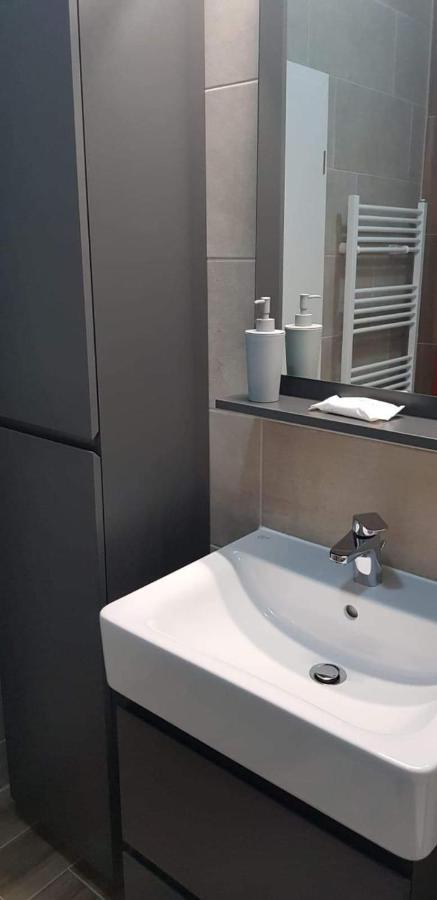 Apartament Apartament Modern Ioan Popasu Braszów Zewnętrze zdjęcie